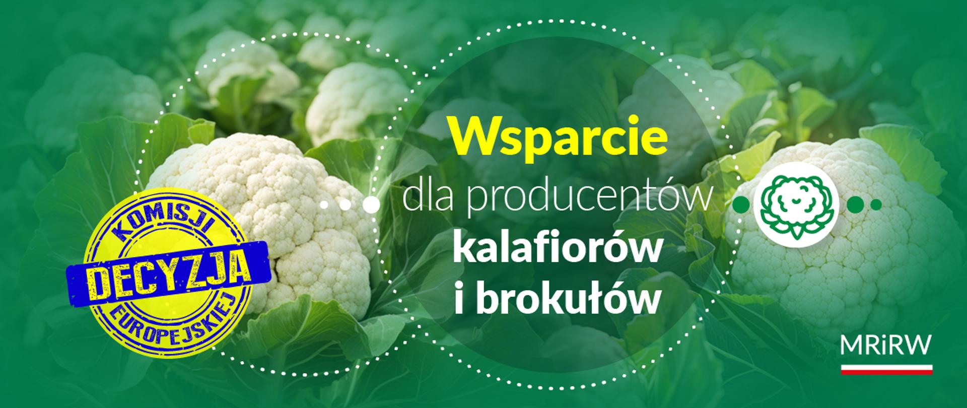 Wsparcie dla producentów kalafiorów i brokułów – decyzja Komisji Europejskiej