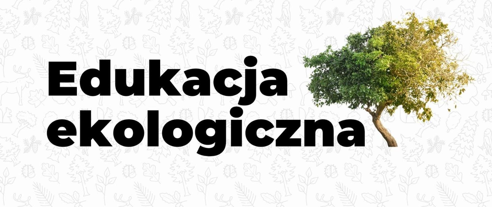 zdjęcie przedstawia po prawej stronie drzewo, po lewej stronie grafiki na beżowym tle napis Edukacja ekologiczna