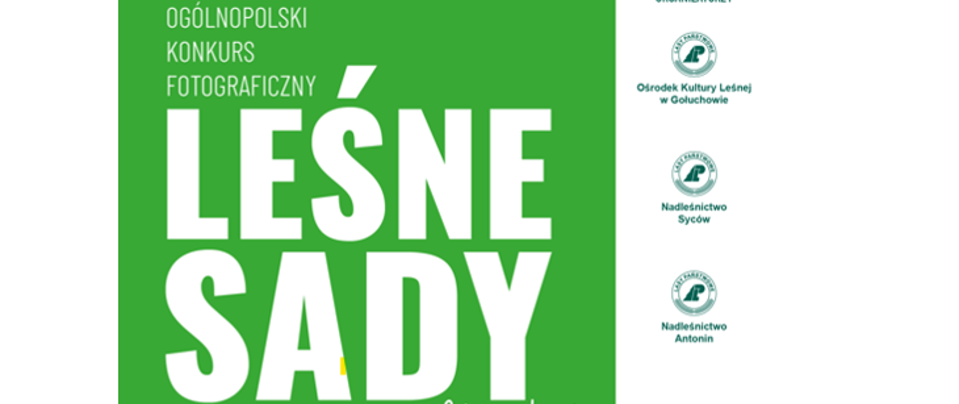 Infografika
