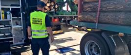 Kontrola rzeczywistej masy całkowitej i nacisków osi zespołu pojazdów przewożącego drewno. Inspektor ubrany w odblaskową kamizelkę stoi obok wag, przez które przejeżdża ciężarówka.