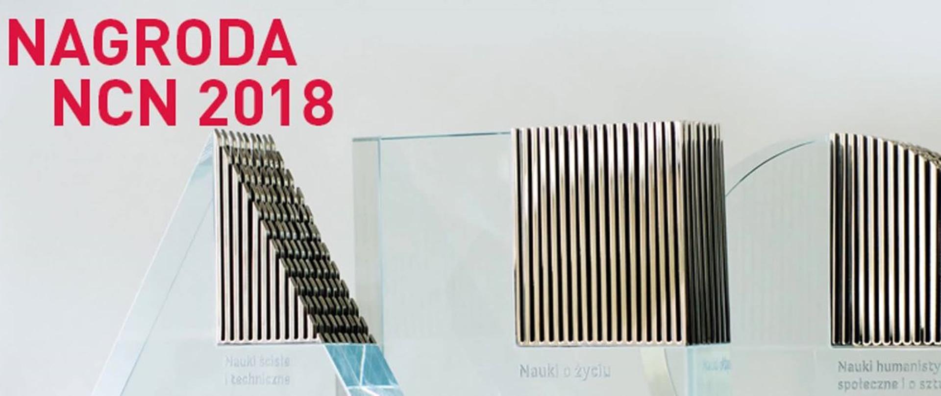 Obrazek przedstawia logo Nagrody NCN 2018.