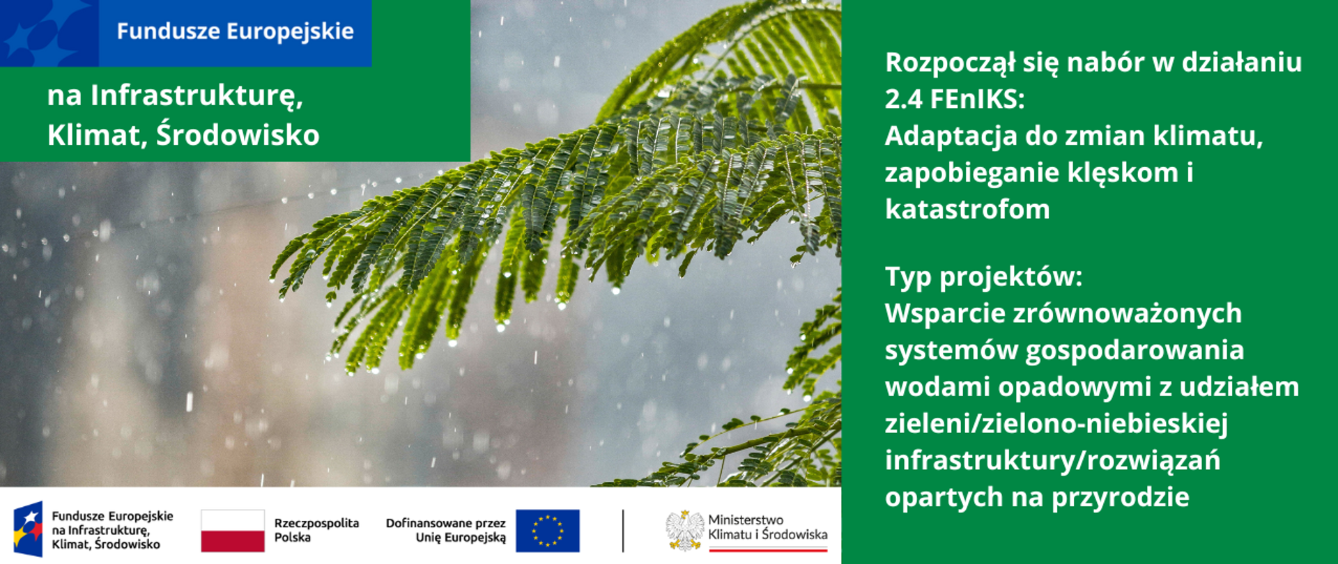 Na głównym planie, widok gałązki drzewa oraz krople deszczu. Na grafice widoczne również logotypy programu FEnIKS oraz napis "Rozpoczęcie się naborowi w działaniu 2.4 Adaptacja do zmian klimatu, zapobieganie klęskom i katastrofom Typ projektów: Wsparcie zrównoważonych systemów gospodarowania wodami opadowymi z udziałem zieleni/zielono-niebieskiej infrastruktury/rozwiązań opartych na przyrodzie.