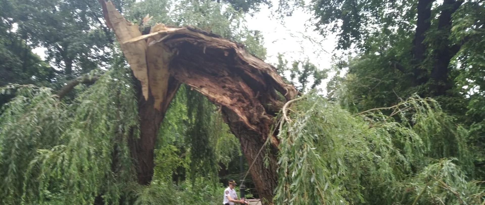 Podsumowanie zdarzeń po przejściu burzy w dniu 10 lipca 2024 roku