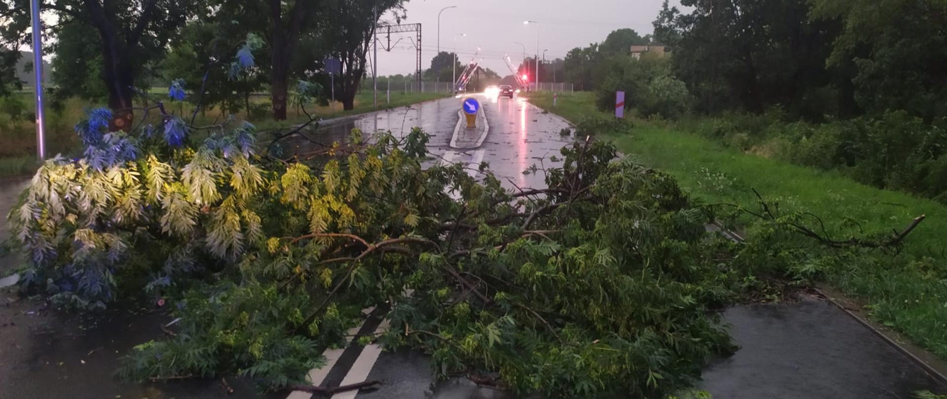 Gałąź leży na drodze blokuje przejazd 
