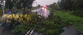 Gałąź leży na drodze blokuje przejazd