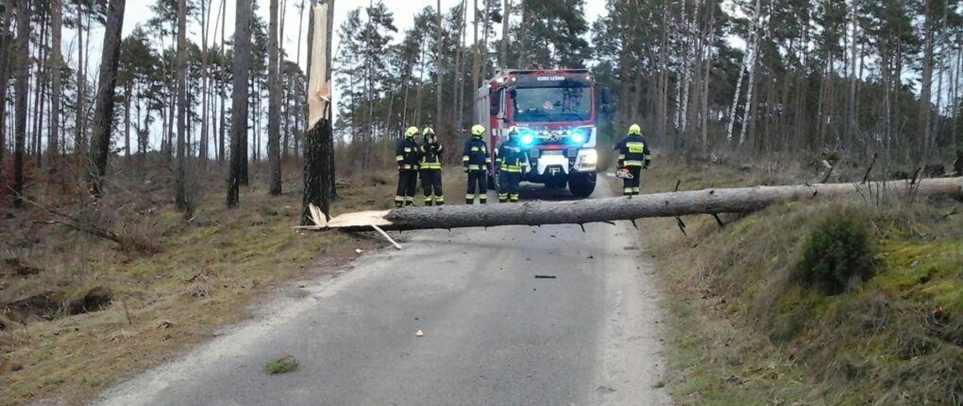 Przewrócone drzewo, leży w poprzek leśnej drogi. Z drzewem strażacy oraz wóz strażacki z włączonymi sygnałami świetlnymi.