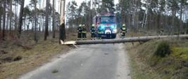 Przewrócone drzewo, leży w poprzek leśnej drogi. Z drzewem strażacy oraz wóz strażacki z włączonymi sygnałami świetlnymi.