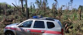 Na zdjęciu widać samochód strażacki, w tle połamane dziesiątki drzew. 