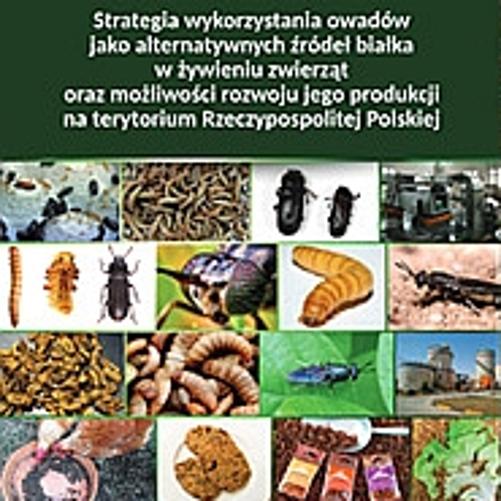 Strategia wykorzystania owadów jako alternatywnych źródeł białka w żywieniu zwierząt oraz możliwość rozwoju jego produkcji na terytorium Rzeczypospolitej Polskiej