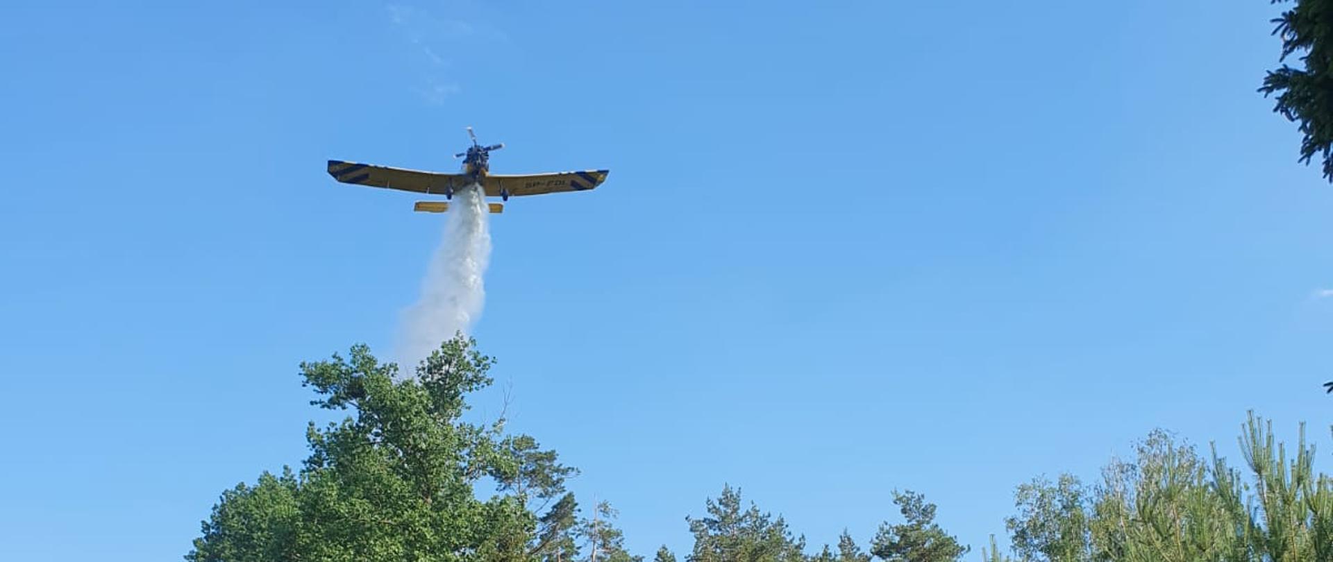 Las, droga leśna ,samochód strażacki nad nim samolot gaśniczy wylewa wodę z powietrza