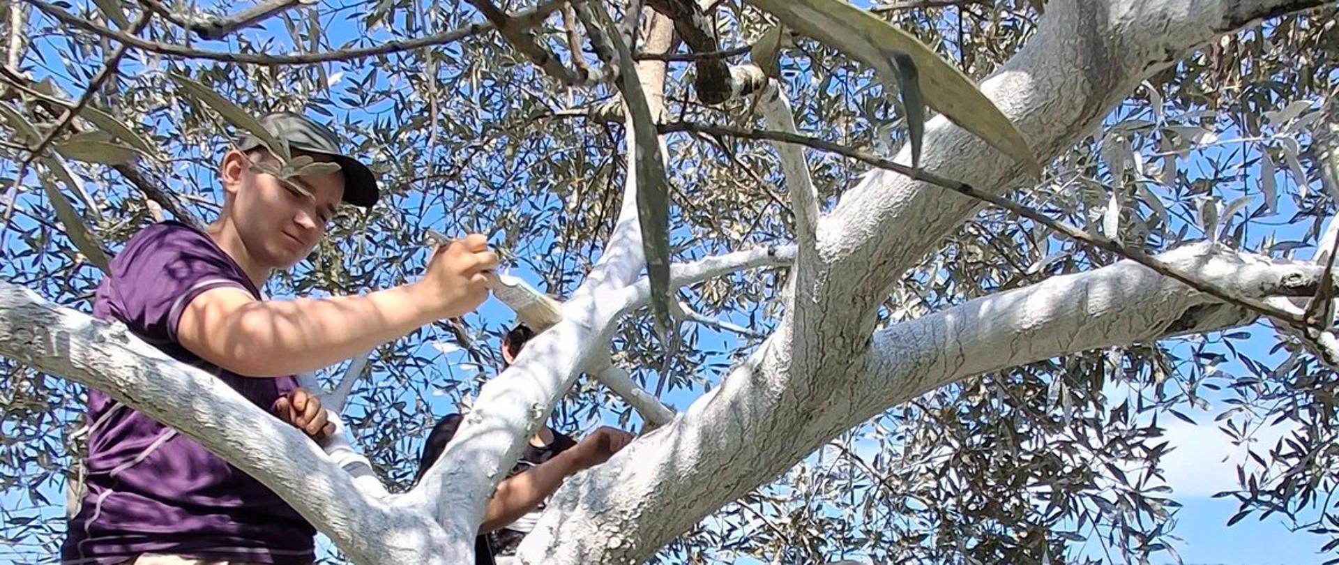 Dzień 8 Erasmus Grecja