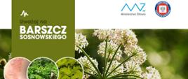 Uwaga_na_BARSZCZ_SOSNOWSKIEGO_format_panorama