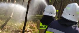 Dwóch strażaków stoi z wężem i leje wodę w las. Po ich lewej widać inny prąd wody. 