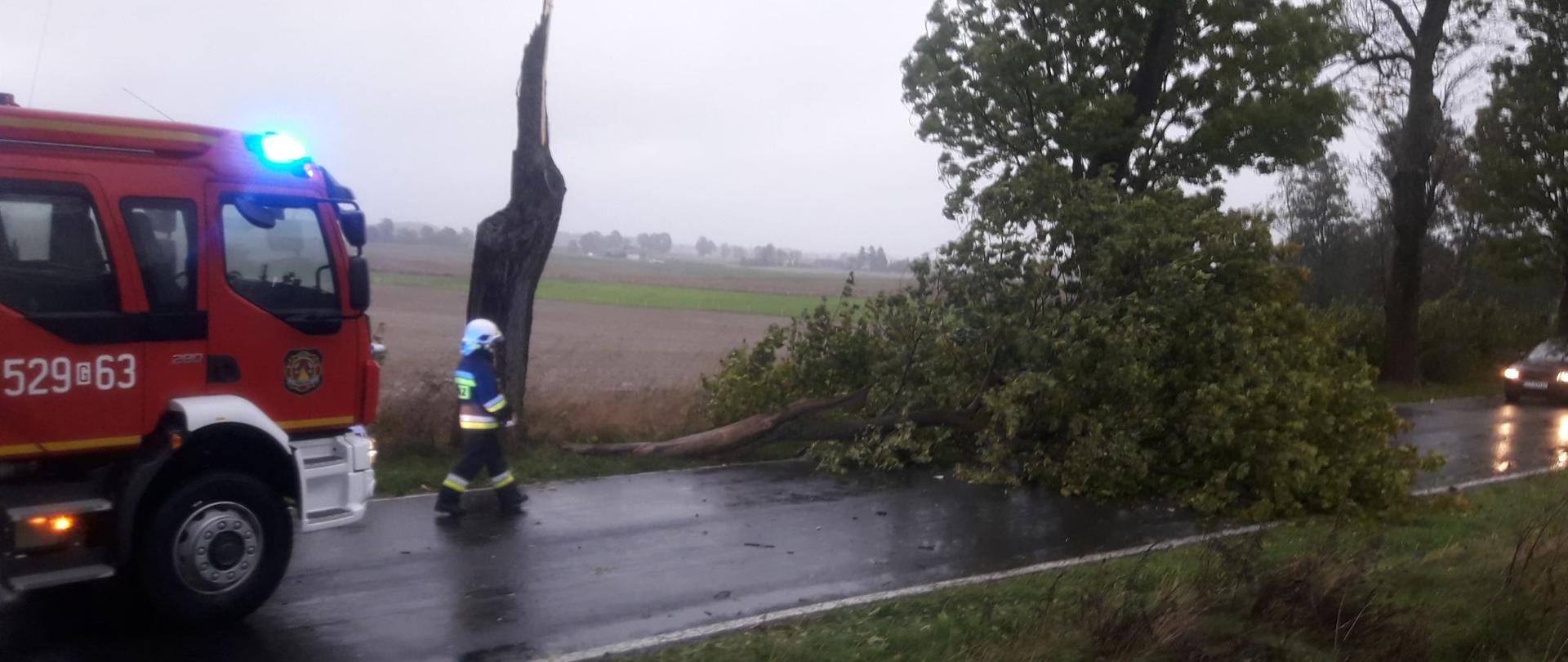zdjęcie przedstawia działania strażaków, powalone drzewo podczas gwałtownych zjawisk atmosferycznych, w tle samochód pożarniczy i strażak podczas działań