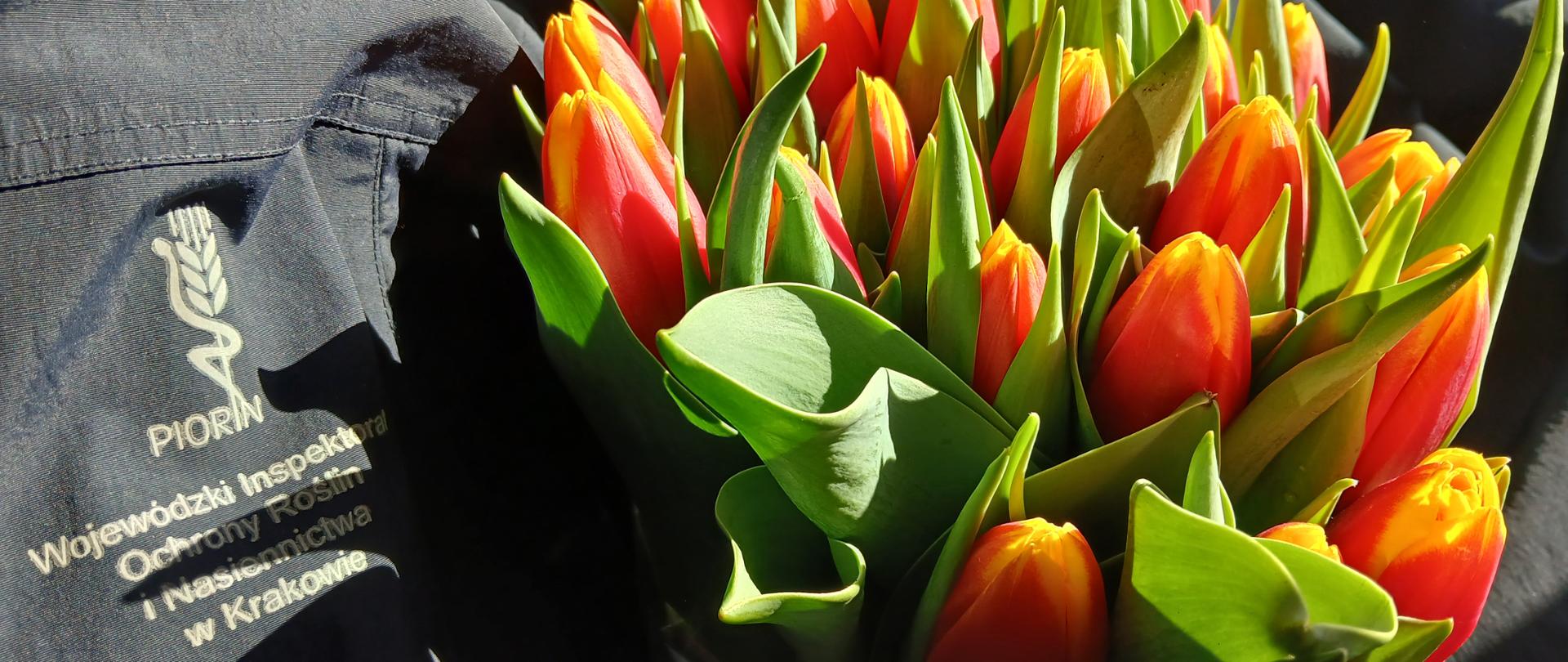 Tulipany