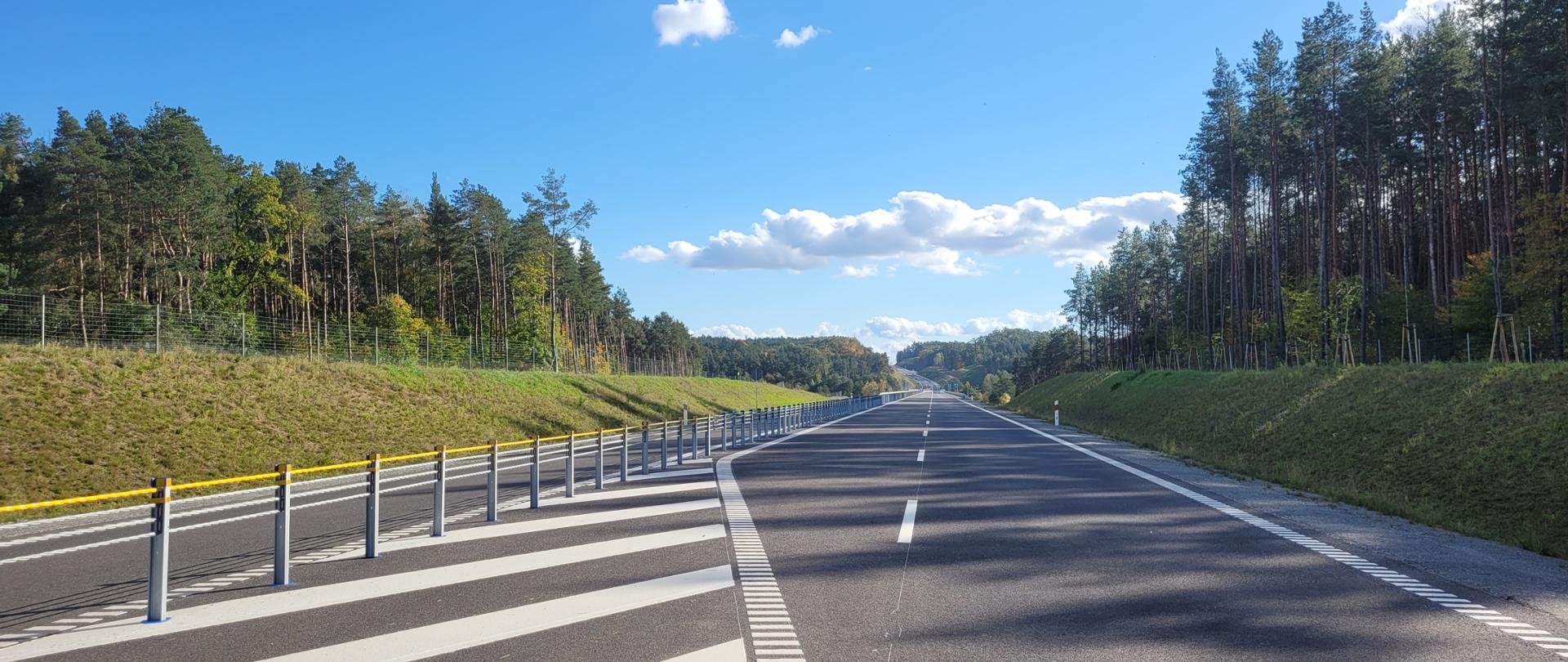 Asfaltowa droga biegnąca przez las.