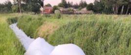 Wysoka i gęsta piana unosi się na powierzchni wody w korycie niewielkiej rzeki. Brzegi po obu stronach porośnięte są wysoką trawą. Piana nieomal wychodzi z koryta rzeki. Przed czołem góry piany, woda jest czysta. Z tyłu stoją drzewa i dom.