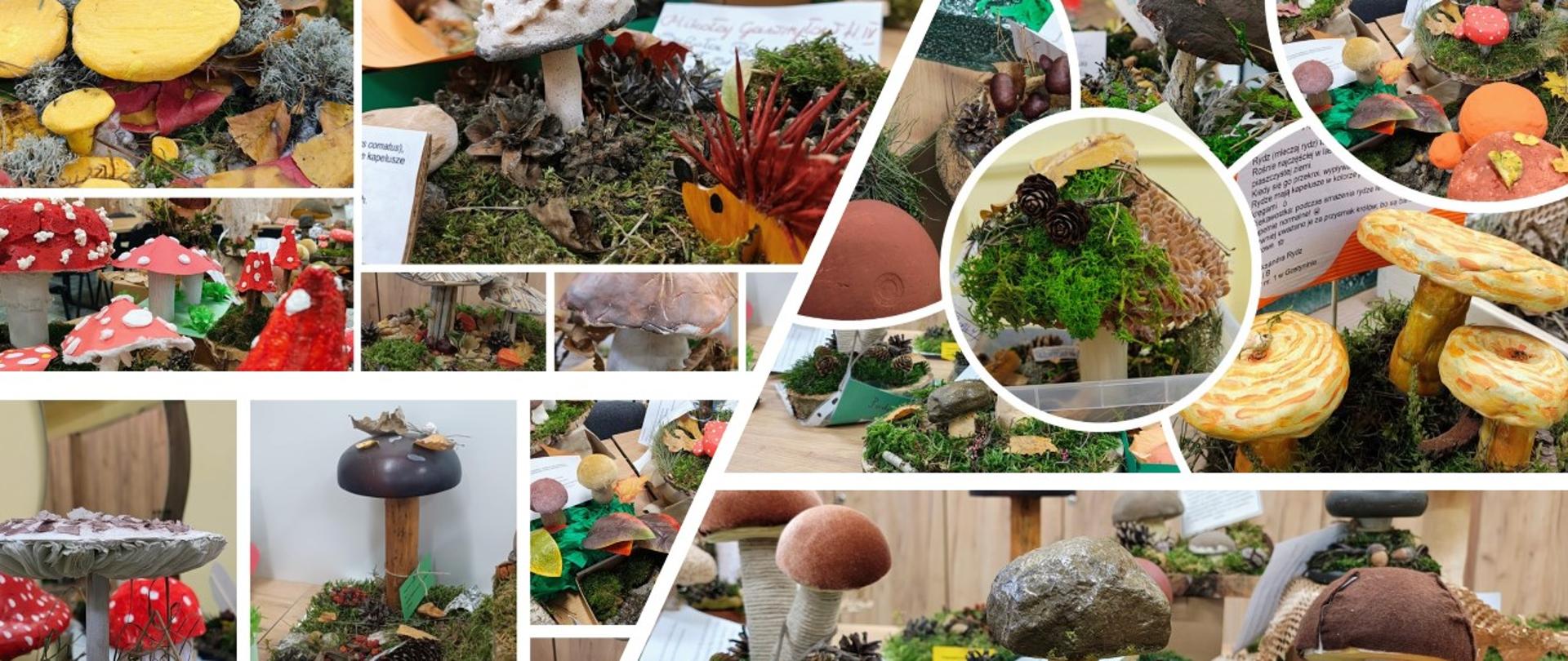 Na zdjęciach modele grzybów