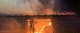 Pożar budynku stodoły w miejscowości Owieczki