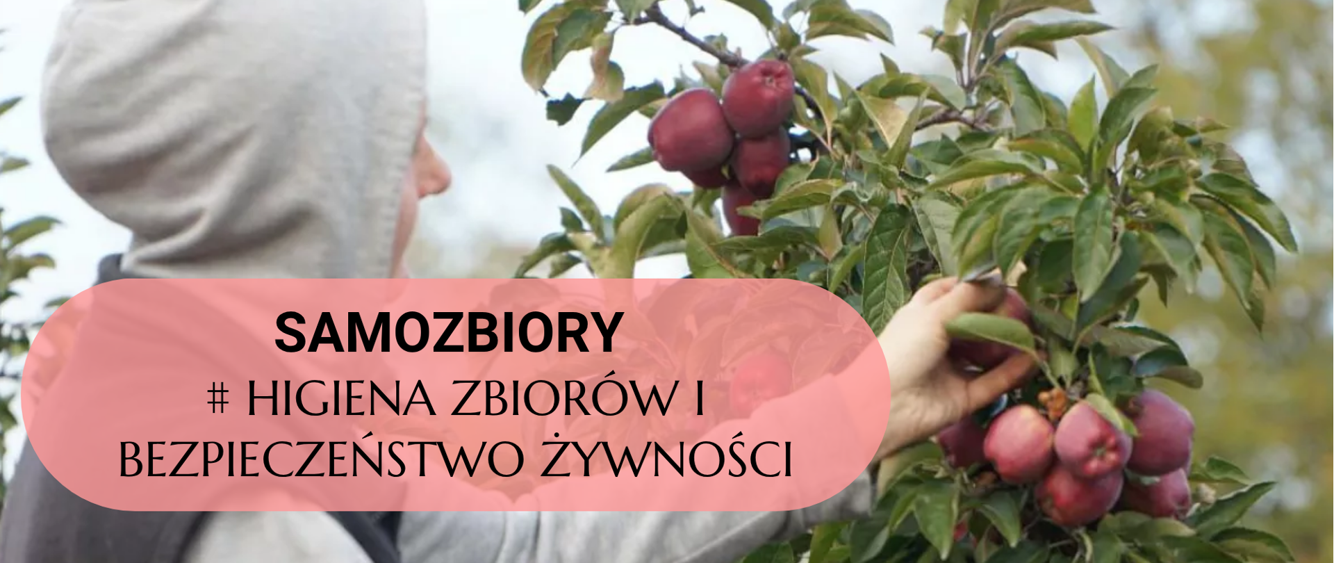 samozbiory 