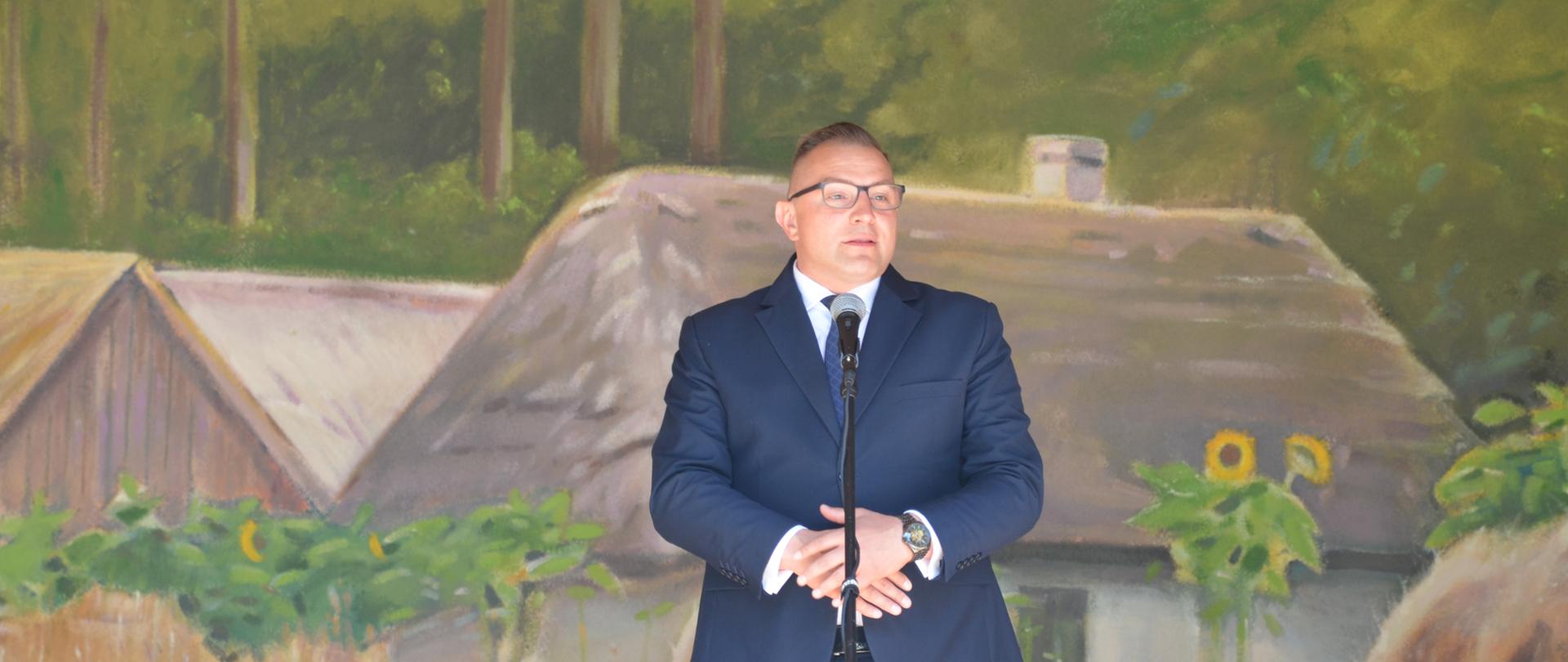 Piknik w Muzeum Wsi Radomskiej 