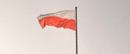 Uroczysta zbiórka i podniesienie flagi państwowej z okazji dnia flagi Rzeczypospolitej Polskiej