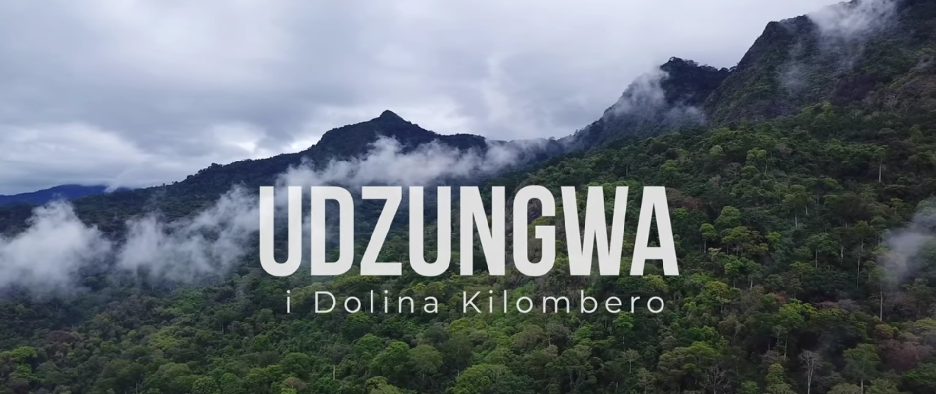 Kadr tytułowy filmu Udzungwa i Dolina Kilombero przedstawiający góry porośnięte lasem tropikalnym