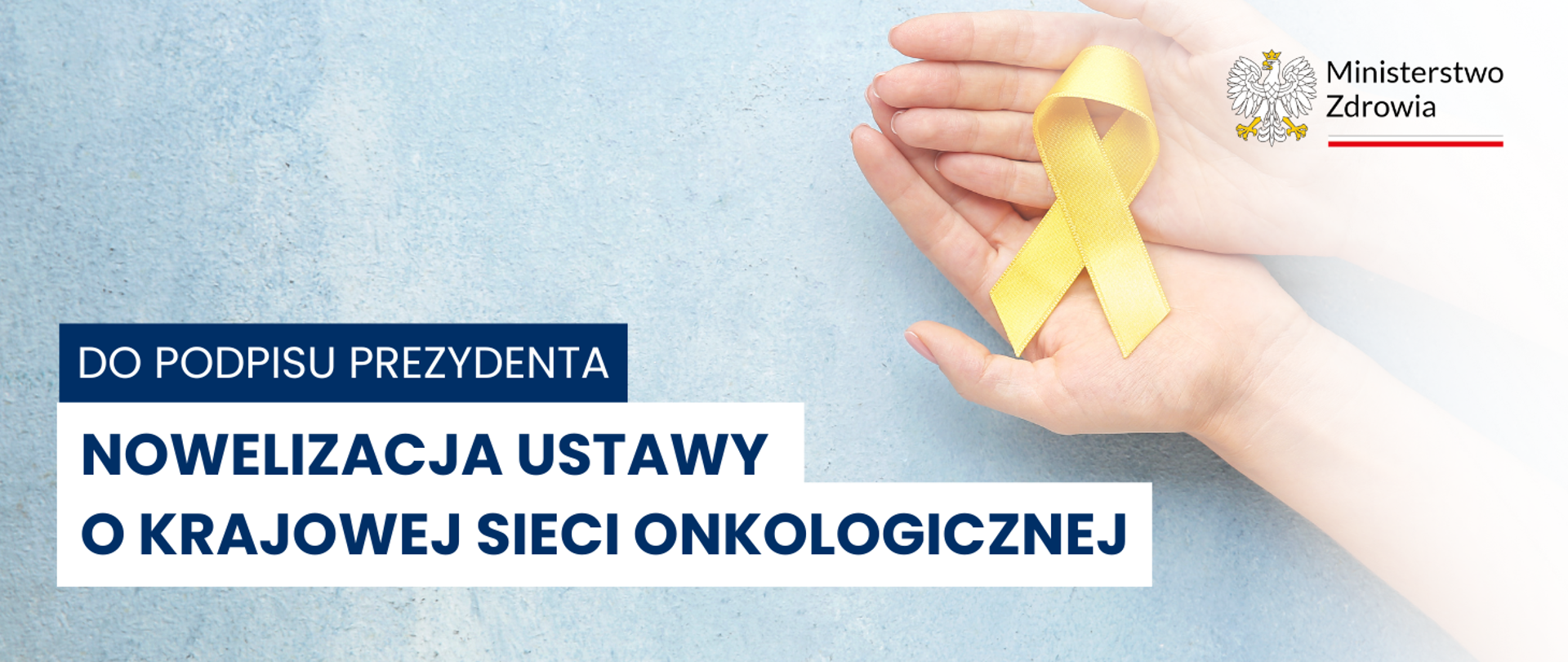 Krajowa Sieć Onkologiczna