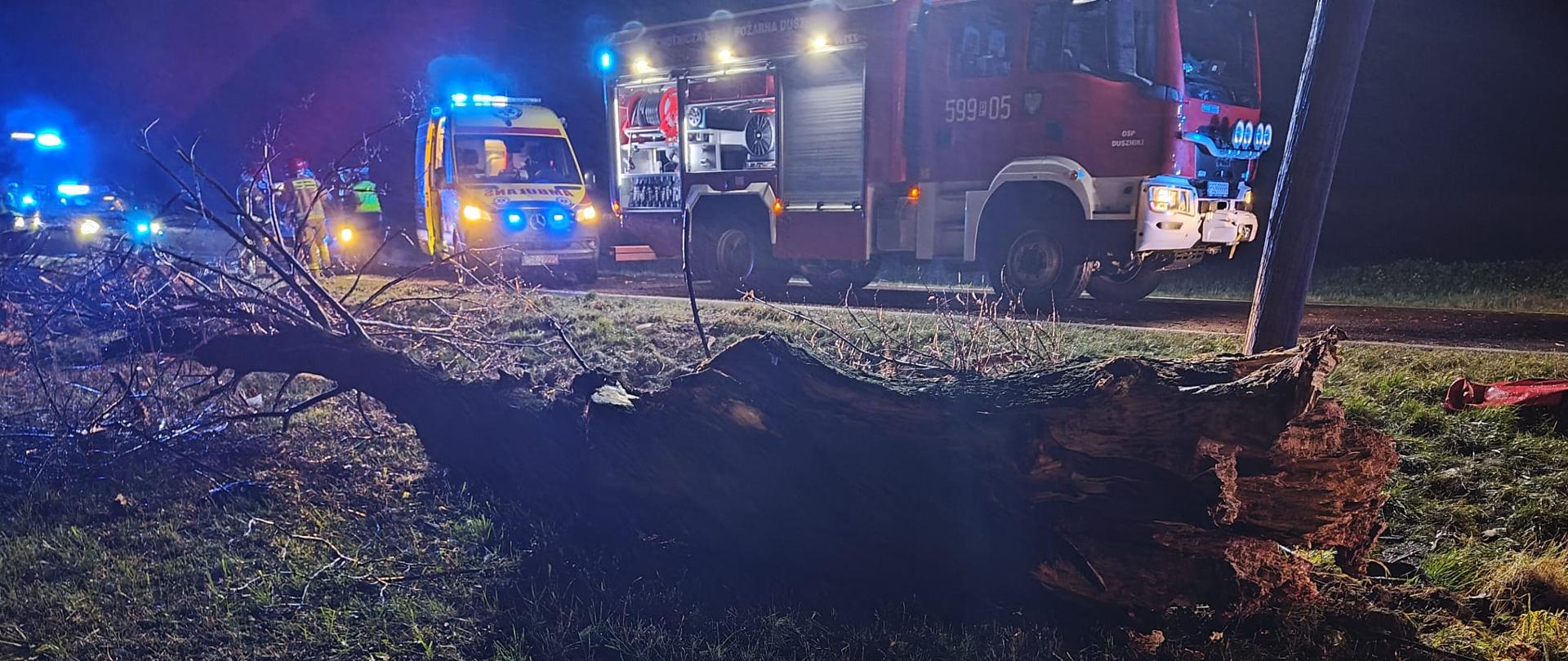 Przewrócone drzewo na poboczu, jest ciemno