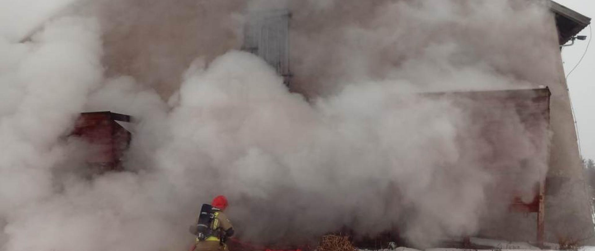 Budynek kurnika, z okien i bram wydobywają się kłęby dymu, strażak z linią gaśniczą podający prąd wody do wnętrza budynku