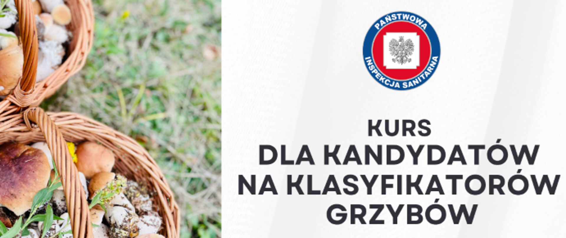 Na grafice są grzyby, logo Państwowej Inspekcji Sanitarnej oraz napis: kurs dla kandydatów na klasyfikatorów grzybów.