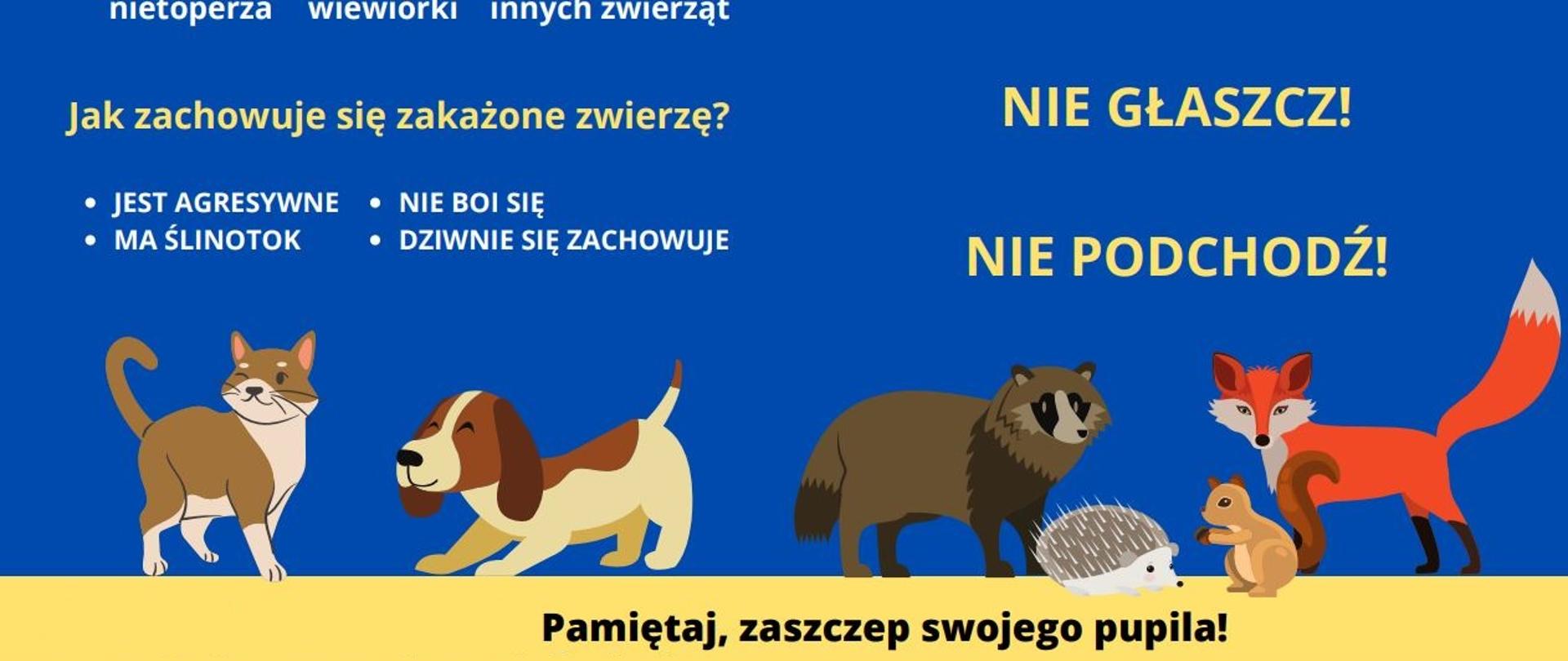 Wścieklizna