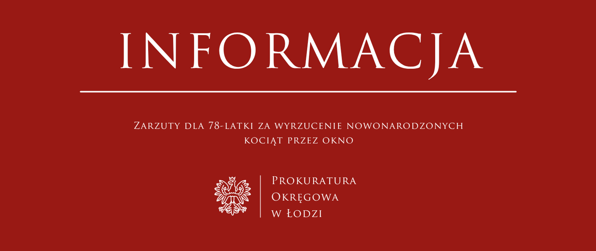 kocięta
