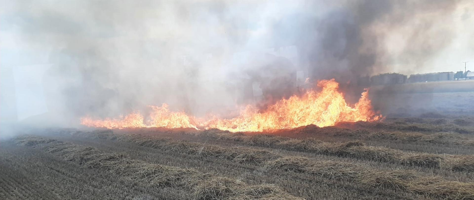 Pożar podczas żniw w Grodzisku Wlkp.