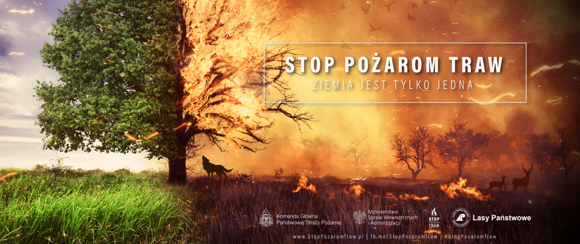 STOP pożarom traw