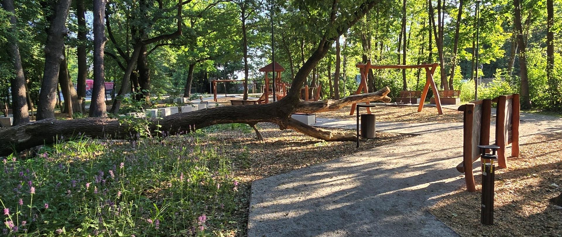 park