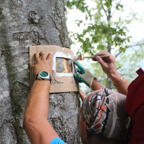Oznakowanie szlaku SLADAMI MEGRELSKIEGO SULGUNI Lebarde fot_Fundacja_ICAD