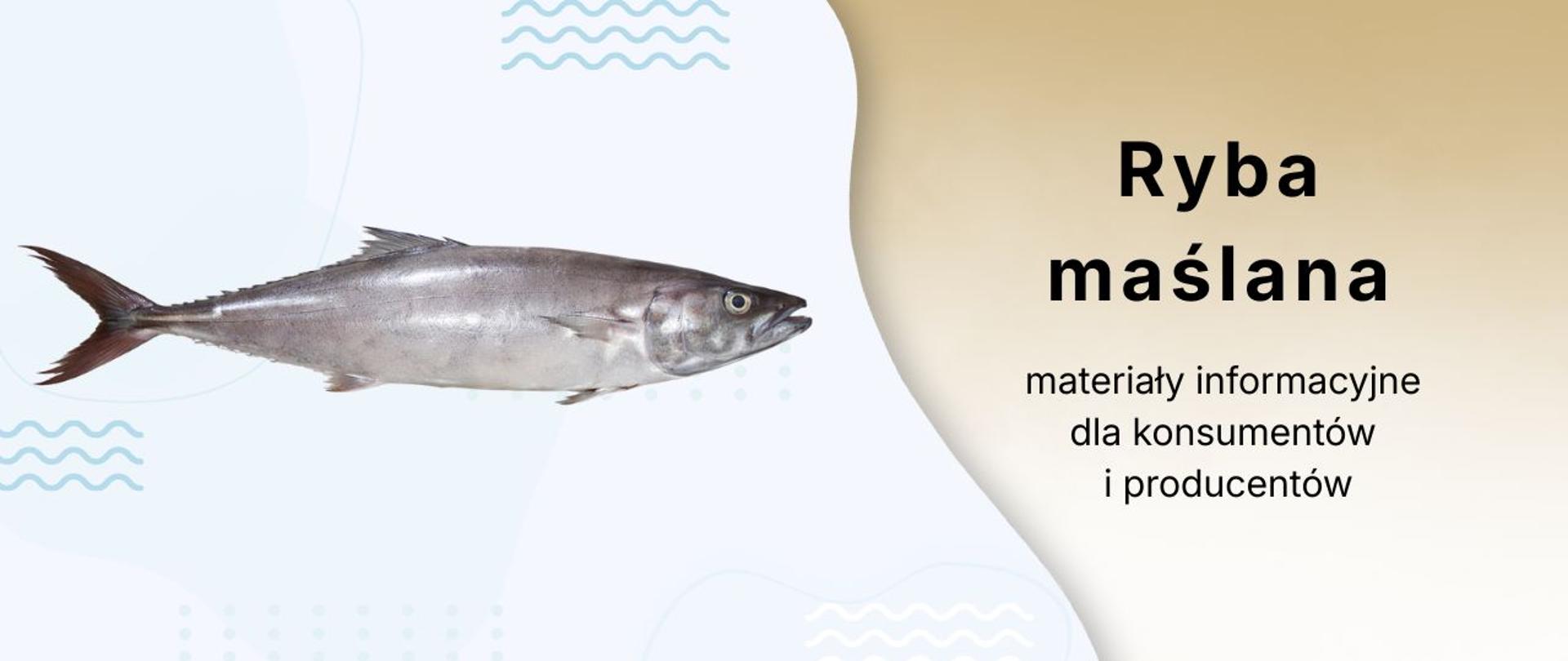 Ryba maślana na jasnym tle oraz napis: Ryba maślana – materiały informacyjne dla konsumentów i producentów.