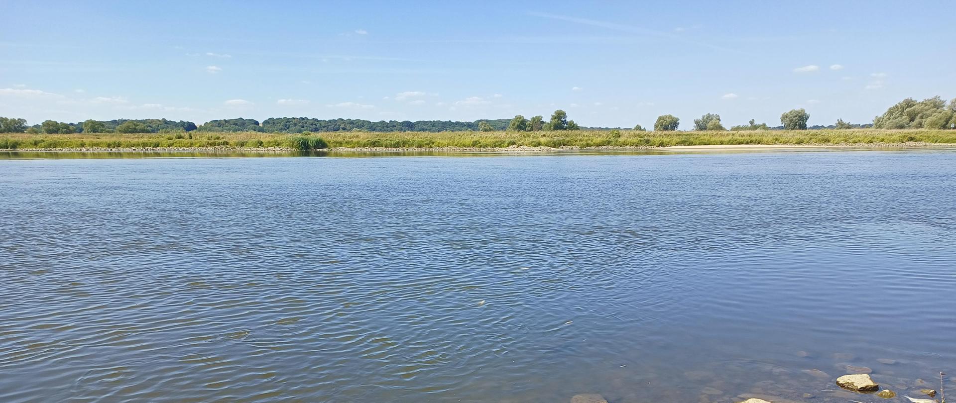 rzeka Odra w Bielinku