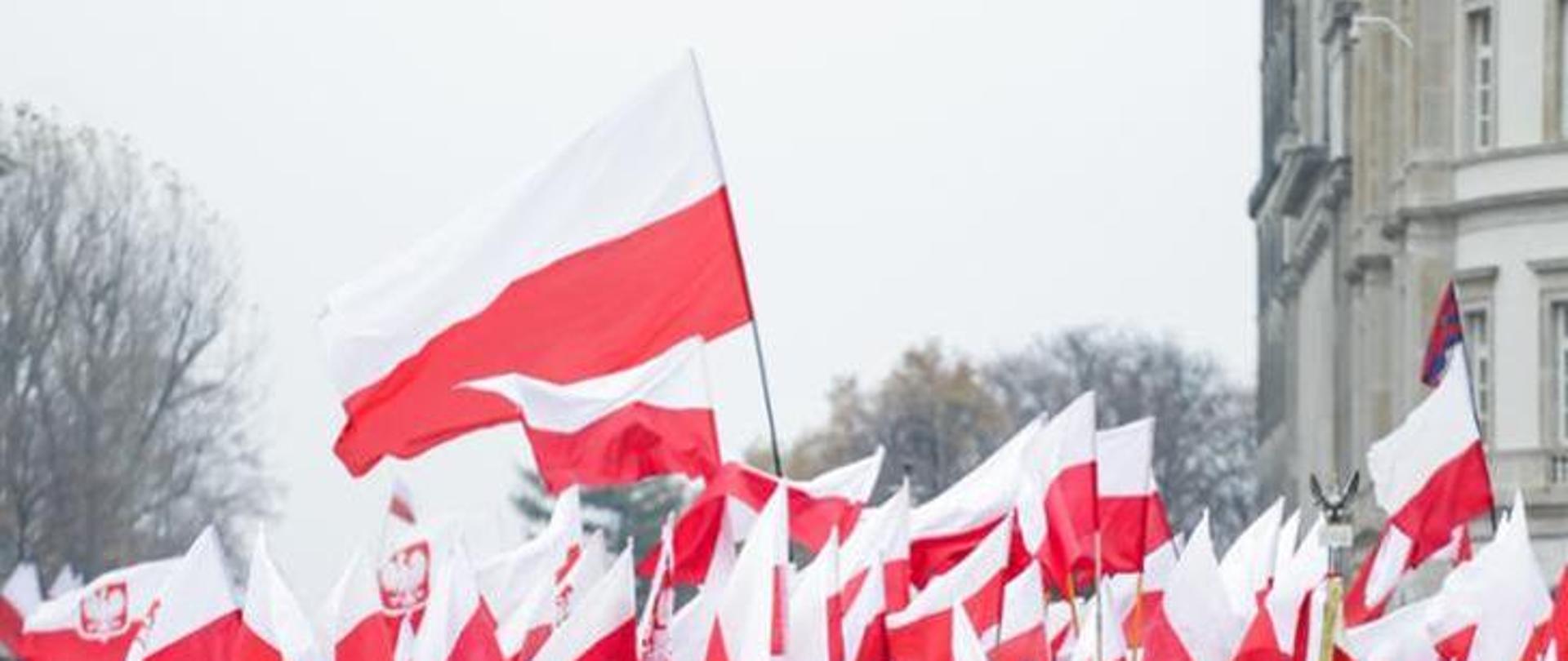 Biało-czerwone flagi