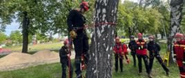 Uczestnik szkolenia instruktorów ratownictwa wysokościowego KSRG asekurowany za pomocą lin jest podwieszony na konarze drzewa, w tle stojący instruktor oraz pozostali uczestnicy szkolenia