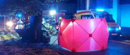 Pora nocna. Niebieskie światła samochodów służb ratowniczych rozświetlają teren akcji. Na pierwszym planie czerwony parawan oraz duże liściaste drzewo w które uderzyło przodem ciemne auto osobowe.Na dalszym planie karetka pogotowia i wóz strażacki.