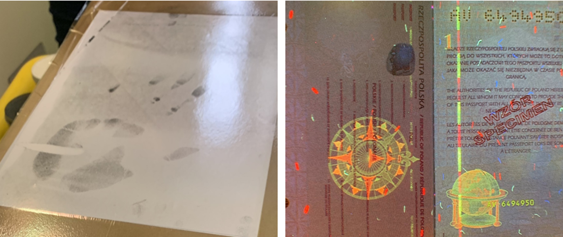 Biologia sądowa – zajęcia dla słuchaczy studiów podyplomowych