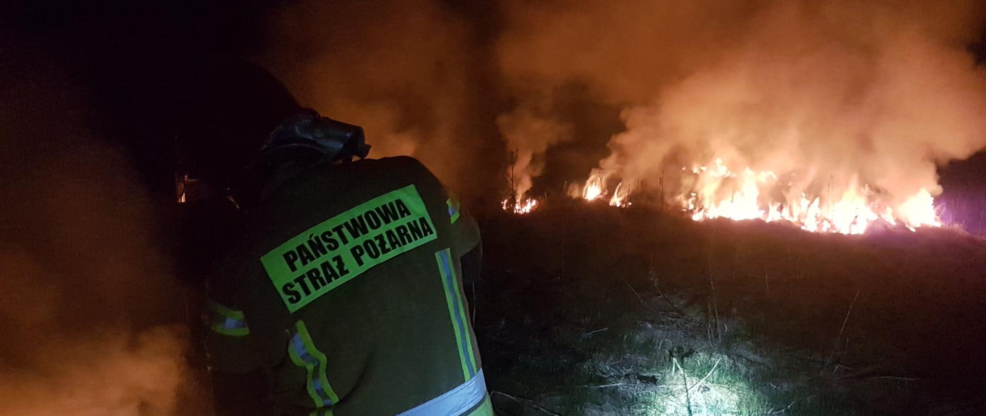 Funkcjonariusz podczas pożaru trawy