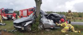 Na zdjęciu widać wrak pojazdu osobowego oraz strażaków działających przy tym wraku