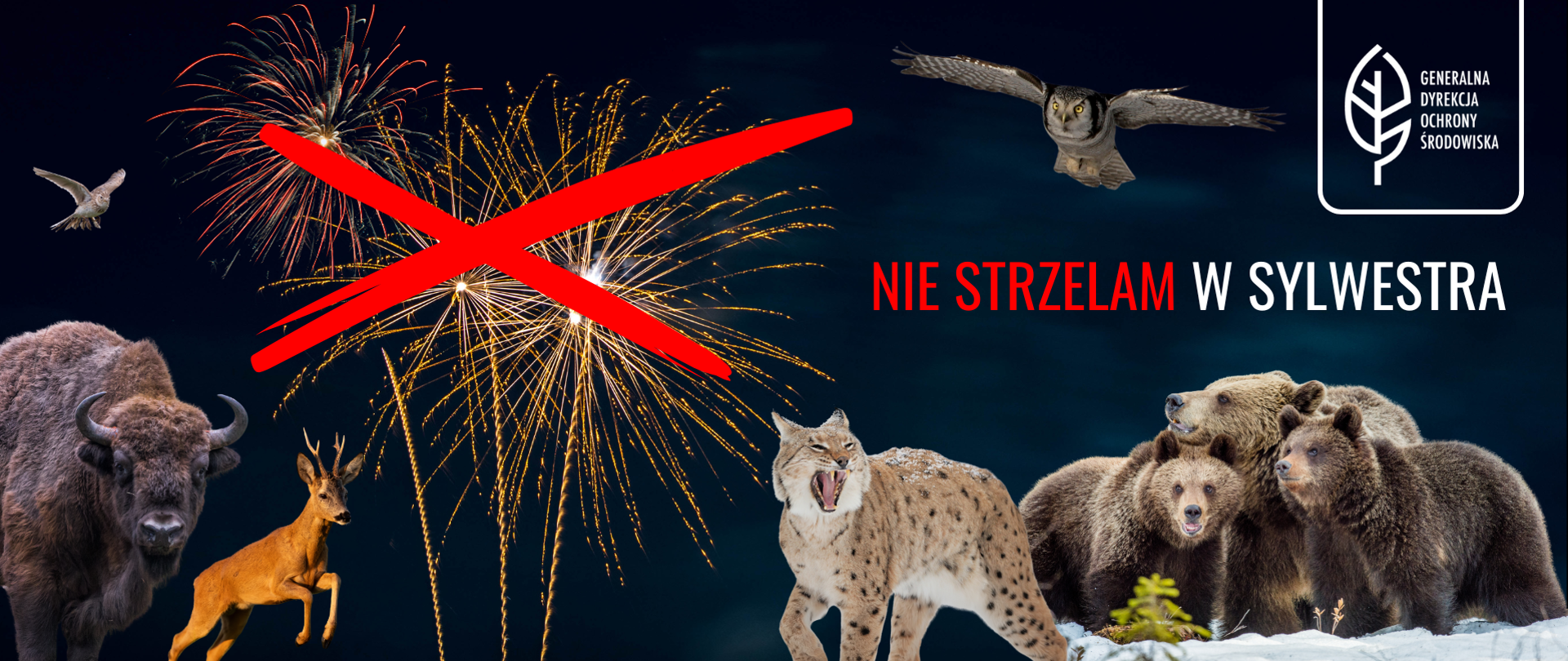 Na czarnym tle gatunki zwierząt dziko żyjących: żubr, jeleń, sowy, ryś, niedźwiedzie. W centralnej części fajerwerki przekreślone czerwonym X. w prawym górnym roku logo Generalnej Dyrekcji Ochrony Środowiska (biały liść), poniżej napis: Nie strzelam w sylwestra. 
