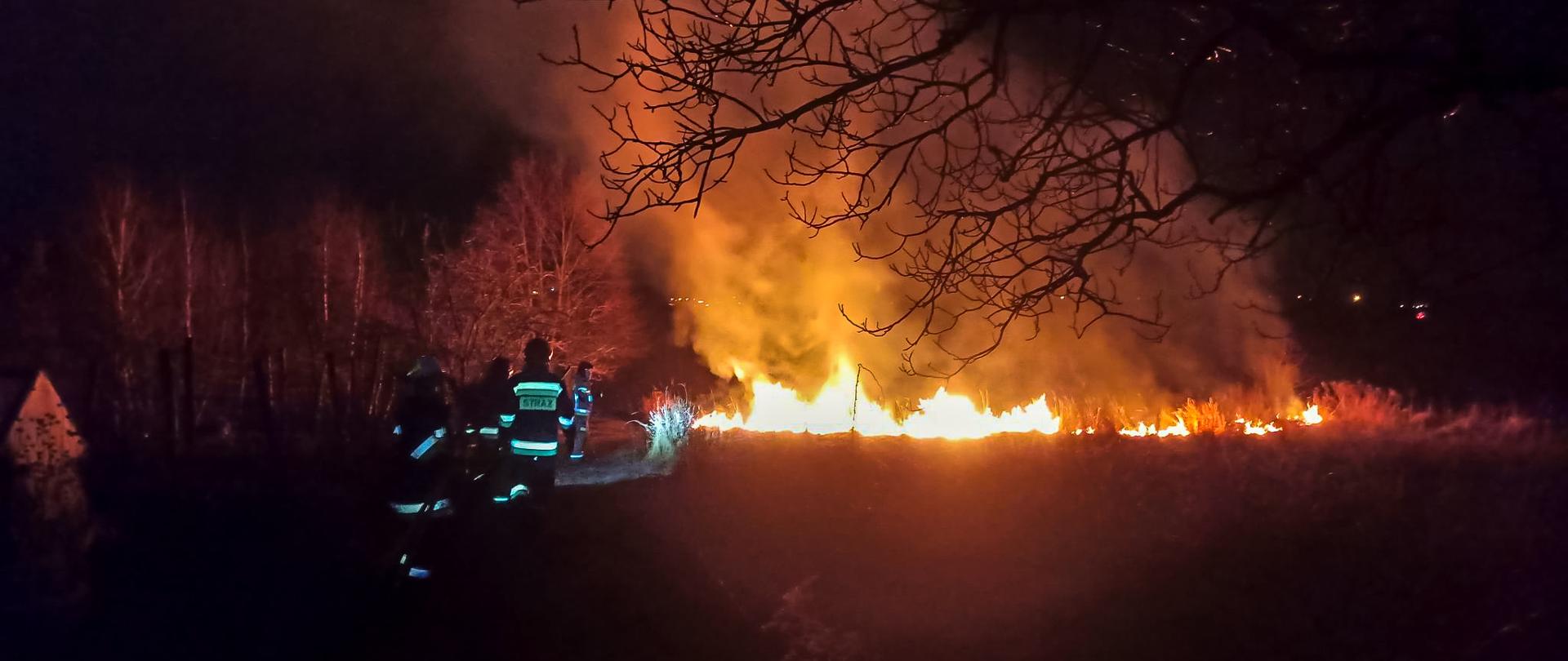 Zdjęcie przedswia pożar trawy w porze nocnej. Płomienie na łące i zaroślach sięgają około 2 metrów. Front pożaru rozprzestrzenia się w kierunku 4 strażaków odwróconch tyłem do zdjęcia ubranych w umundurowanie specjalne i hełmy.