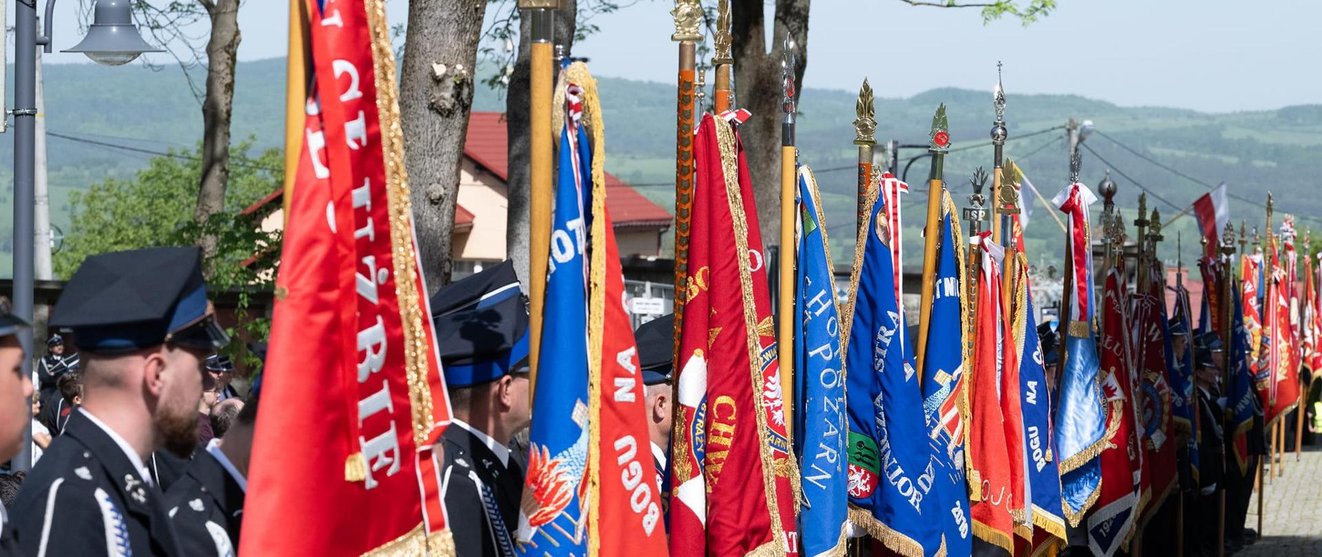 Podkarpaccy strażacy ze sztandarami