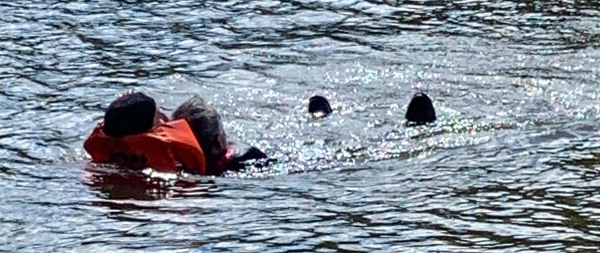 Ćwiczenia z ratownictwa wodnego