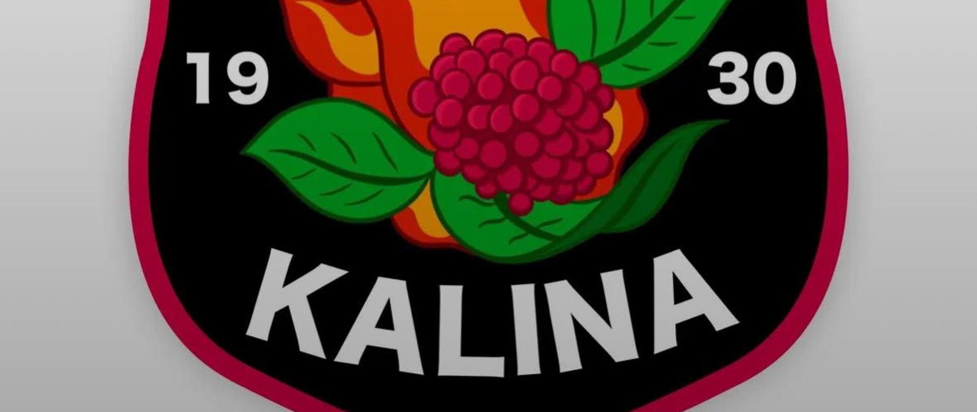 Zdjęcie przedstawia logo OSP Kalina
